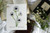 White Anemone Botanical Print-Abiding Love by artist Meredith Raiford