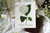 Hydrangea Botanical Print- Thank you for Understanding