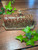 "Indulge in artisanal elegance with Cari Cleckler's Handcrafted Butter Dishes from Alabama Vitrified, crafted with care from locally sourced Alabama Clay. Each piece is a unique expression of Southern craftsmanship, elevating your table with rustic charm and unparalleled quality. Explore our collection now and bring the timeless beauty of Alabama clay to your dining experience."