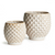 "Elevate your botanical display with our stunning high-fired stoneware pots from Napa Home & Garden. Crafted with meticulous artistry, each piece showcases a captivating geometric pattern and rich glaze, adding depth and character to any space. Versatile for use as a cachepot or for direct planting, they feature drain holes for proper plant care. Protect your surfaces with ease by lining the interior, while ensuring longevity by guarding against frost and freezing conditions. Available in Cream with dimensions of 7.5 x 7.5 x 7 and 6 x 6 x 5.25."