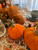 Vintage Hand Sewn Pumpkins - Large 6 Panel Round Vintage Hand Sewn Pumpkins - Large 6 Panel Round