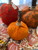 Vintage Hand Sewn Pumpkins - Medium 6 Panel Round