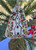 Ceramic Christmas Berry Chapel Ornament