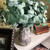 38.5” realistic faux eucalyptus stem with soft silvery-green leaves and natural veining, styled in a vase for elegant farmhouse home décor, lifelike artificial greenery for year-round arrangements and interior styling.