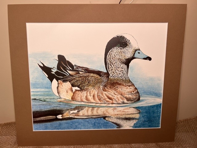 Woodland Prints – Widgeon Duck