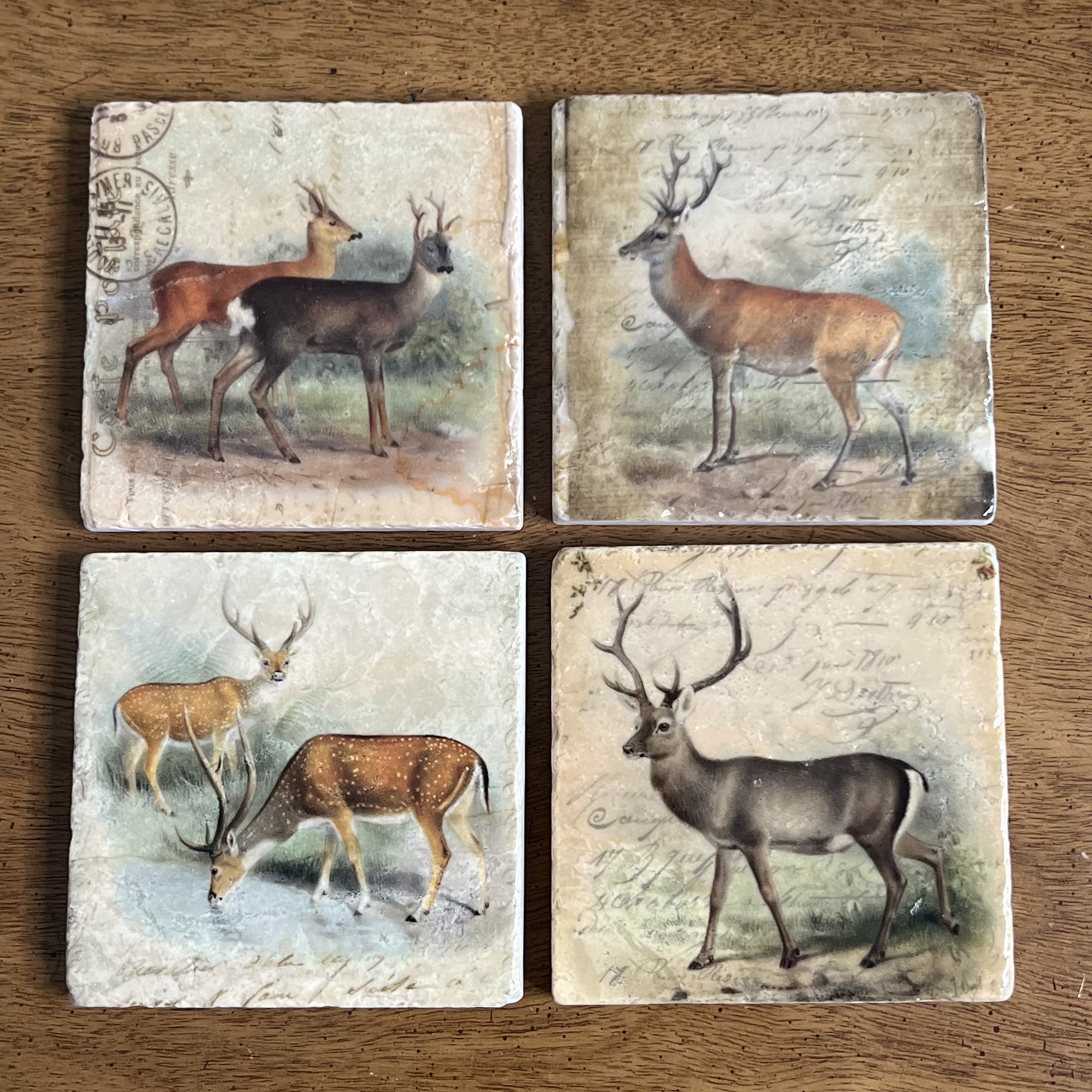 Stone Coasters by Artist Jenny Alexander – Vintage Deer - Set of 4