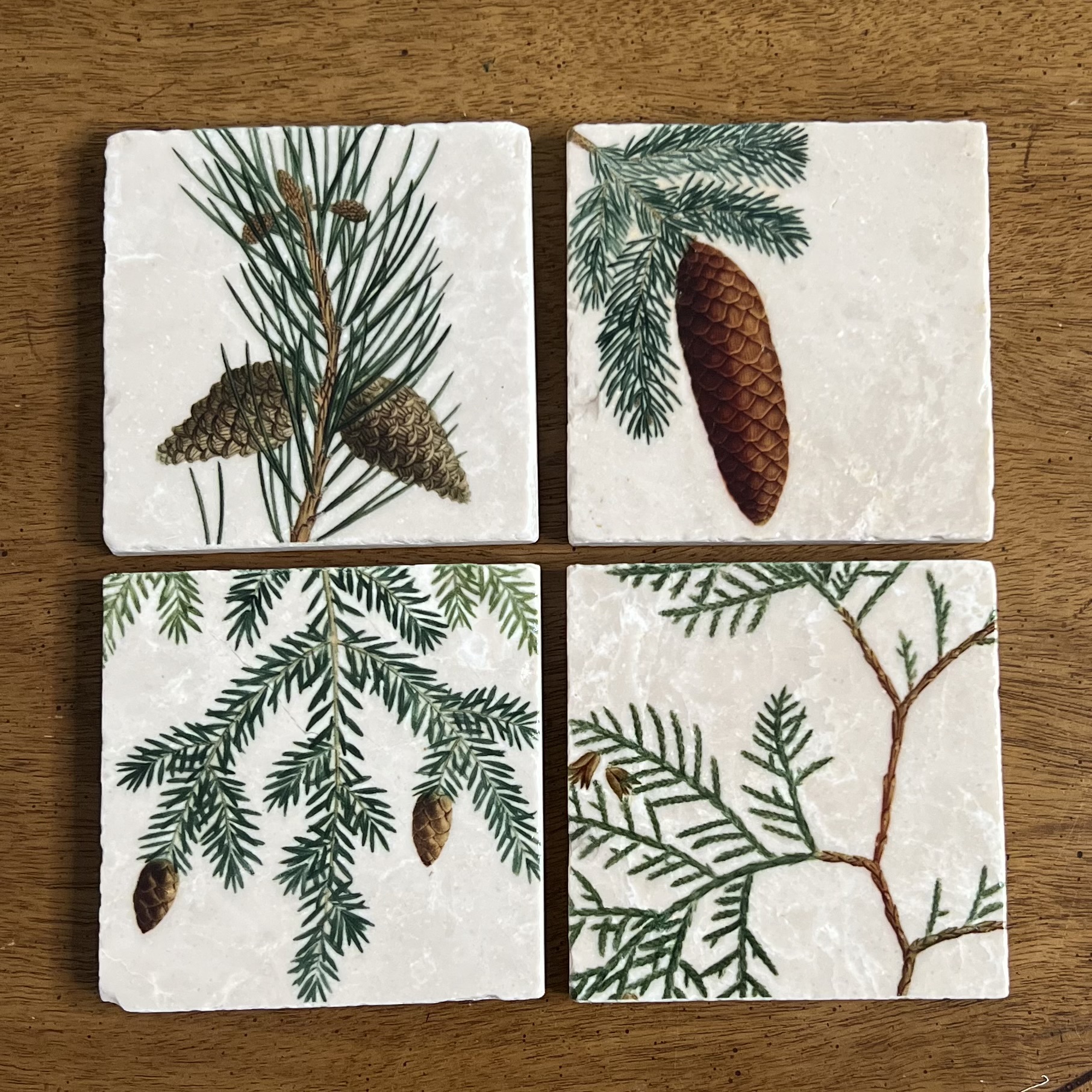 Stone Coasters by Artist Jenny Alexander – Pinecones - Set of 4