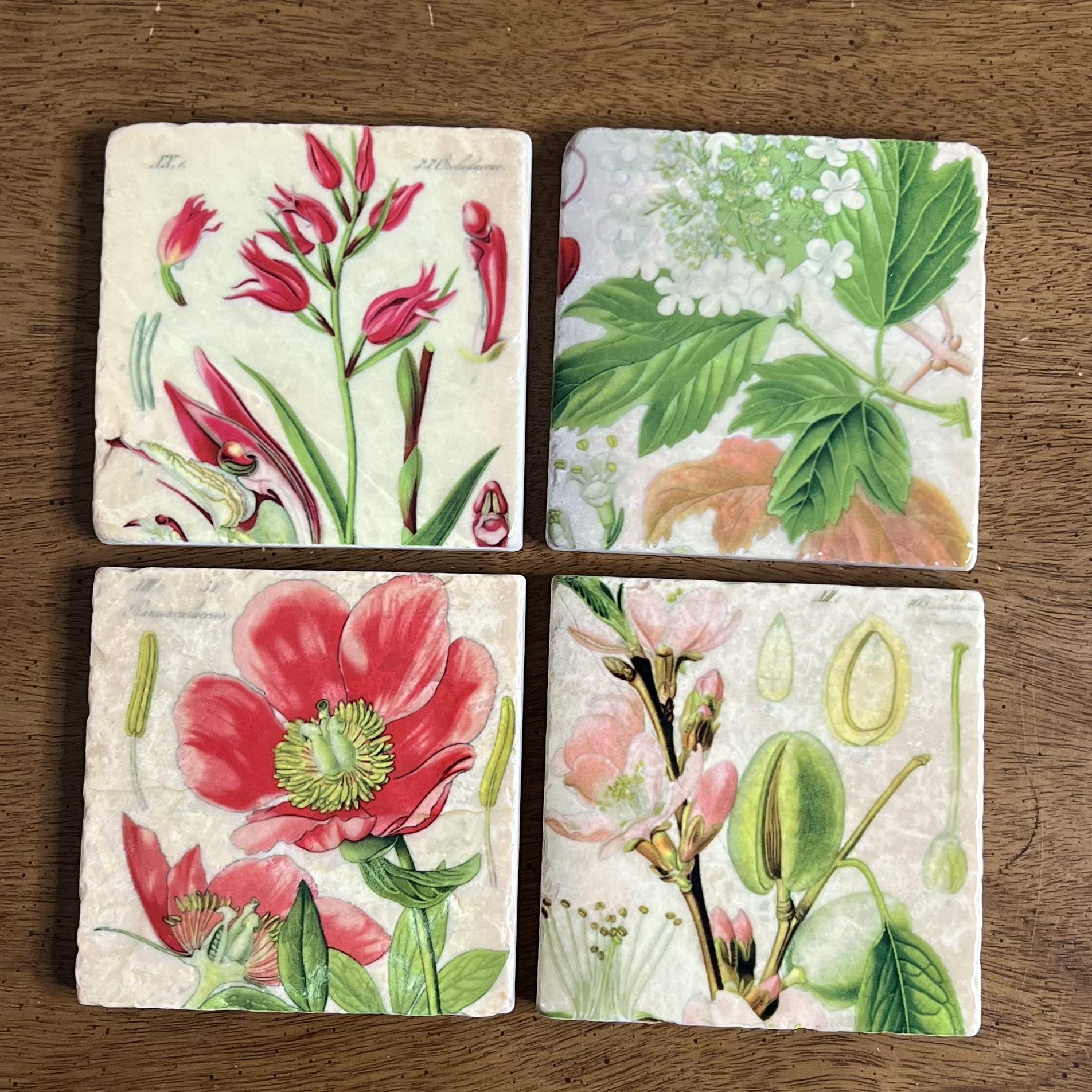 Stone Coasters by Artist Jenny Alexander – Pretty Pink Botanicals - Set of 4