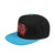 Trendy Embroidered Snapback Cap | Urban Style Hat for All Occasions, Streetwear, Gift for Him/Her, Hip Hop Fashion