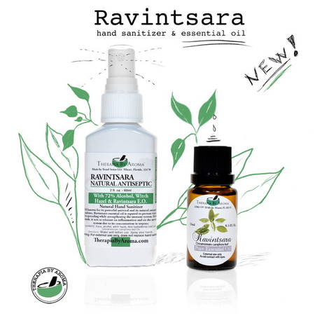 Ravintsara essential oil: How to fight against viruses naturally