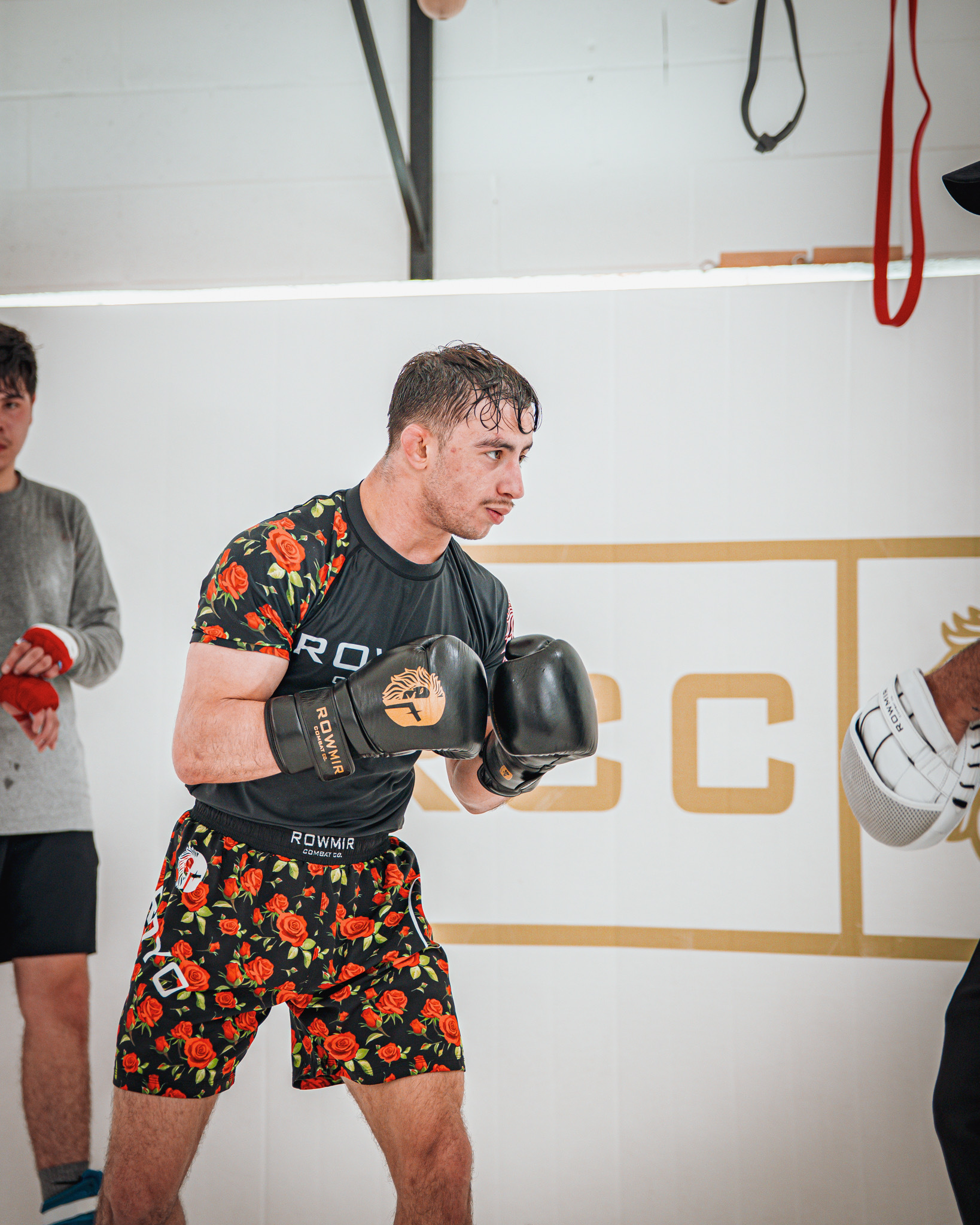Fighter training with gloves