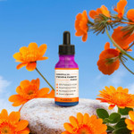 Focus & Clarity Essential Oil Blend – 1oz – Private Label Skincare (Additional Image) by Midwest Sea Salt Company