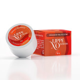 Orange Blossom Exfoliating Lip Scrub - Lippe XO – Body Scrub (Additional Image) by Midwest Sea Salt Company