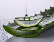 Aloe Barbadensis Leaf Extract