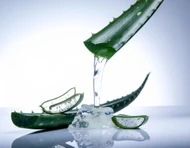 Aloe Barbadensis Leaf Juice
