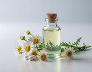 Anthemis Nobilis Flower Oil