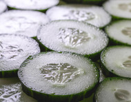 Cucumis Sativus Fruit Extract
