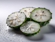 Euphorbia Cerifera Wax