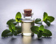 Mentha Piperita Oil