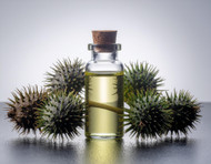 Ricinus Communis Seed Oil