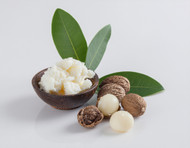 Butyrospermum Parkii Butter