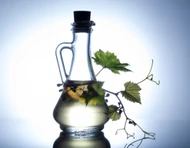 Vitis Vinifera Seed Oil