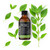 Tea Tree Essential Oil - AAA (Australia)  4 oz (Additional Image)