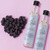 Sesto Aromatic Bath & Massage Oil - Black Raspberry Vanilla - 8.5oz (Additional Image)