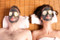 Liora Skin Organic Dead Sea Mud Facial Mask - 6.7oz