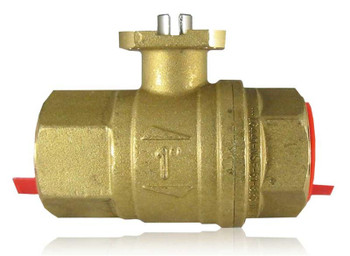 WaterCop Ready Brass Valve 1 Inch WaterCop Ready Brass Valve 1 Inch
