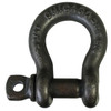 5/8" Duty Rated Screw Pin Anchor Shackle - Domestic