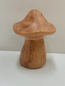 Brown Resin Mushroom Brown Resin Mushroom