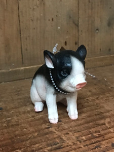 POLY BABY PIG POLY BABY PIG