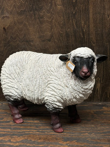 POLYRESIN SHEEP, 17" POLYRESIN SHEEP, 17"