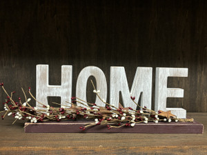 HOME SITTER HOME SITTER