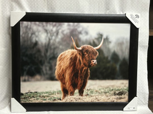 Mom Cow Mom Cow