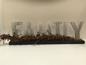 FAMILY SITTER FAMILY SITTER