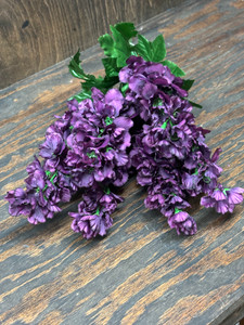 DELPHINIUM BUSH X6-PLUM DELPHINIUM BUSH X6-PLUM