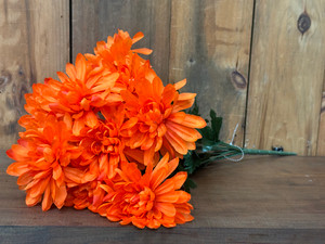 CHRYSANTHEMUM BUSH-ORANGE CHRYSANTHEMUM BUSH-ORANGE