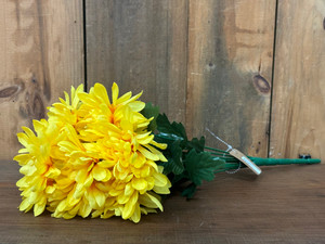 CHRYSANTHEMUM BUSH-YELLOW CHRYSANTHEMUM BUSH-YELLOW