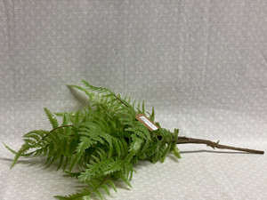LIGHT GREEN FERN SMALL PICK LIGHT GREEN FERN SMALL PICK