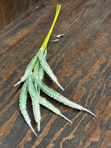 GREEN TIMOTHY GRASS PICK, 23x0.5x3 GREEN TIMOTHY GRASS PICK, 23x0.5x3
