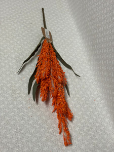 ORANGE COCKSCOMB PICK, 17" ORANGE COCKSCOMB PICK, 17"