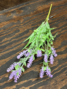 PURPLE GRASS BUSH PURPLE GRASS BUSH