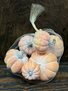 Bag of Powdered Pumpkin Gourds, Orange Bag of Powdered Pumpkin Gourds, Orange