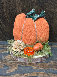 _SM PUMKIN ON SLICE OF WOOD _SM PUMKIN ON SLICE OF WOOD