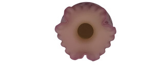 FENTON 7 BURMESE RUFFLED EDGE RASBERRY - LIMITED, SIGNED