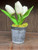 REAL LOOK MINI TULIP_WHITE