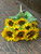 NATURAL SUNFLOWER PLANT x9 GOLD