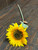 SUNFLOWER STEM W/6" HEAD SUNFLOWER STEM W/6" HEAD